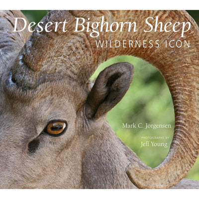 Desert Bighorn Sheep book