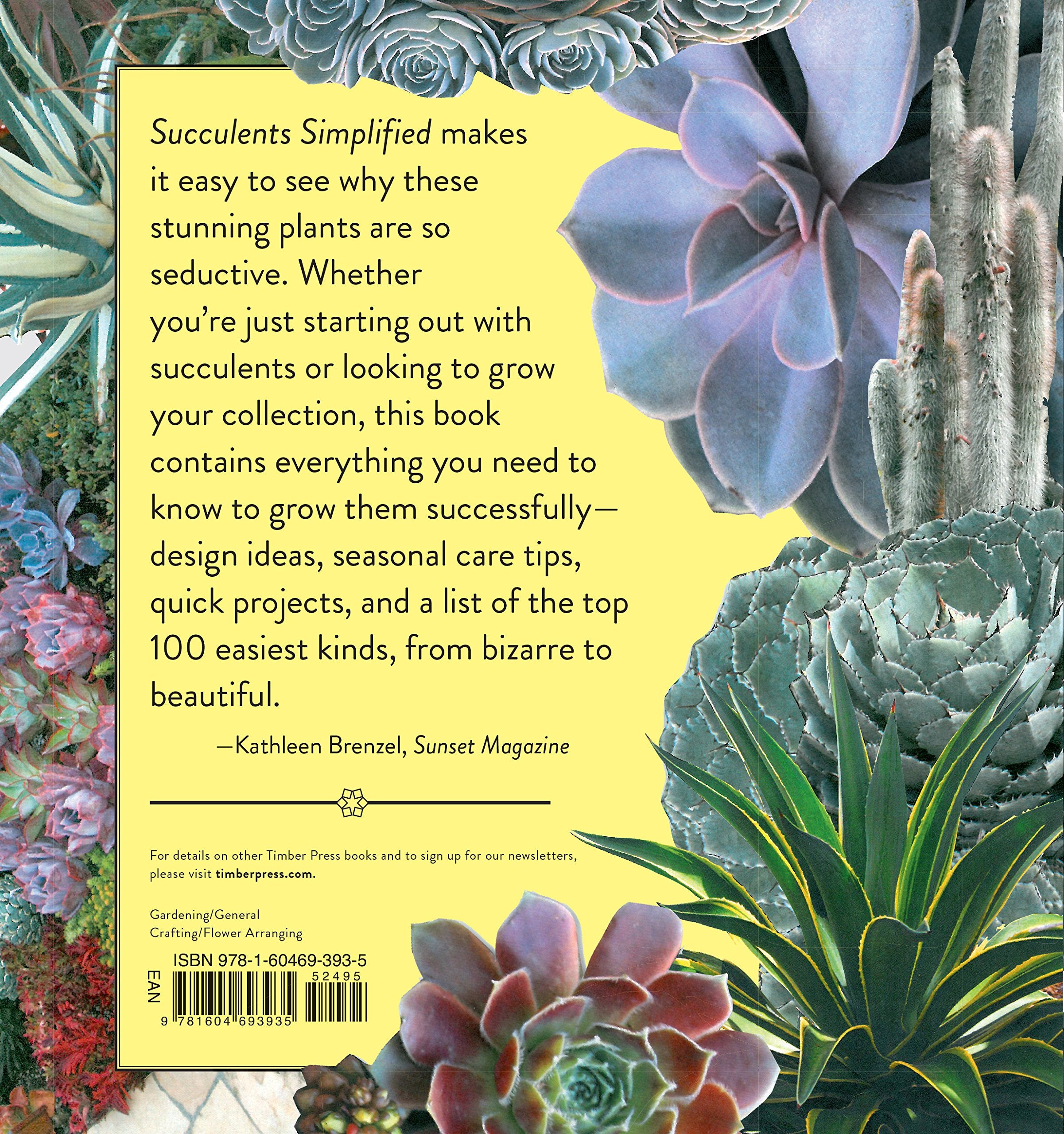 Succulents Simplified - Just Fabulous Palm Springs