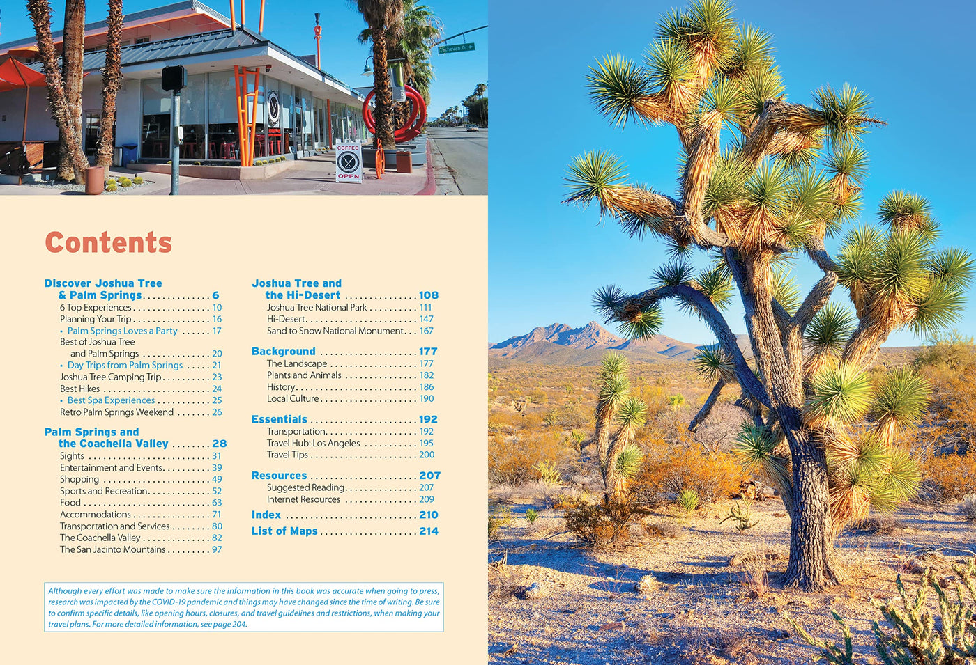 Moon: Joshua Tree & Palm Springs