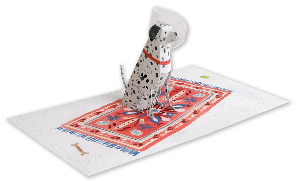 Feel Better Dalmatian Pop Up Card greeting card