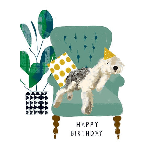 Pooped Birthday Card
