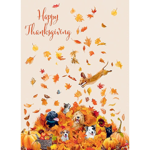 Fun In The Leaves Thanksgiving Holiday Card - Just Fabulous Palm Springs