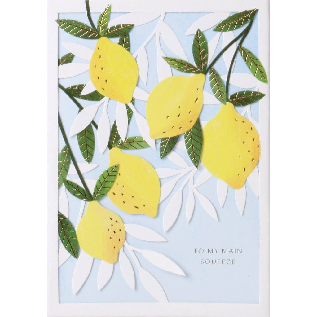 Citrus No. 34 greeting card