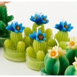 Sculpted Cactus T-Light, Boxed set Blue Flower