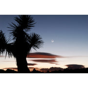 Joshua Tree National Park Moon Greeting Card - Just Fabulous Palm Springs