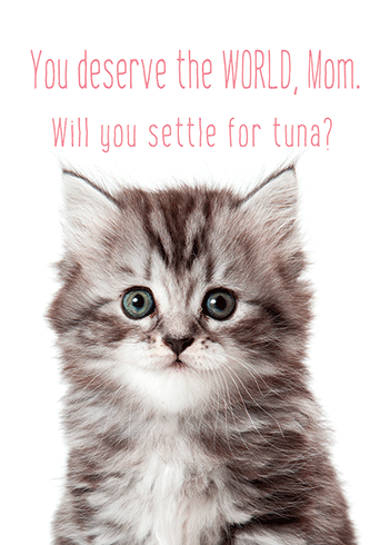 Fur Mom Mother's Day Greeting Card