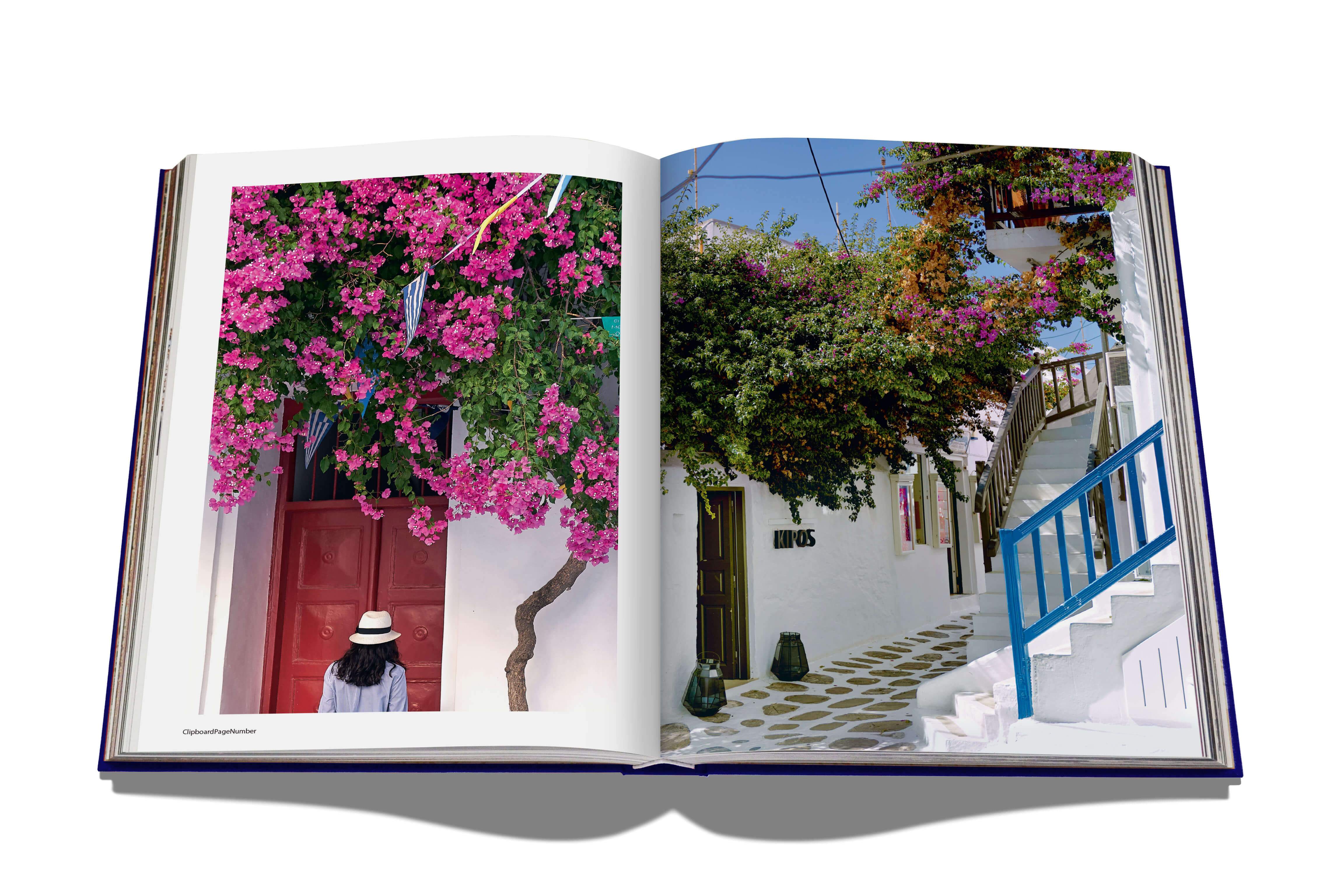 Mykonos Muse - Just Fabulous Palm Springs