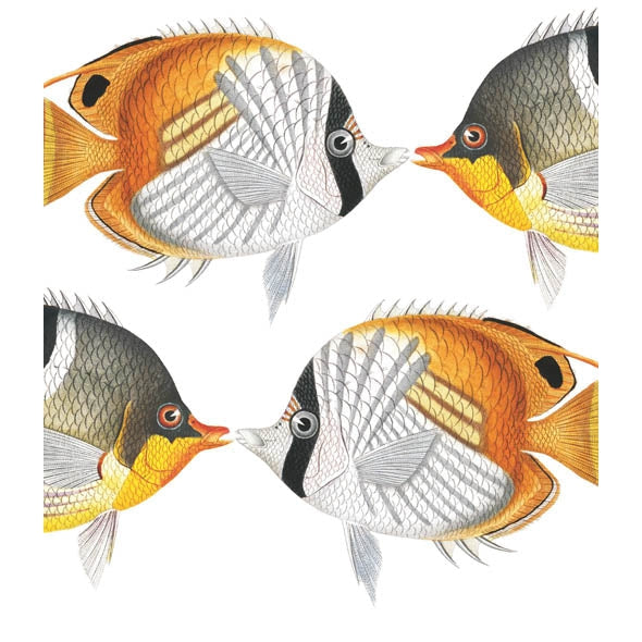 Chaetodon Fish Blank Card