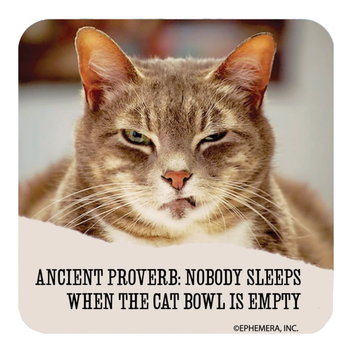 Ancient Proverb: Nobody Sleeps When The Cat Bowl Is Empty Coaster