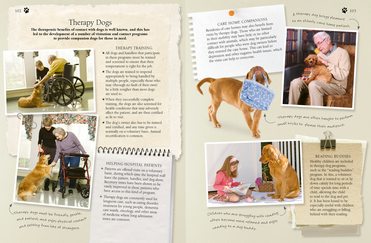 Amazing Dog Facts And Trivia - Just Fabulous Palm Springs