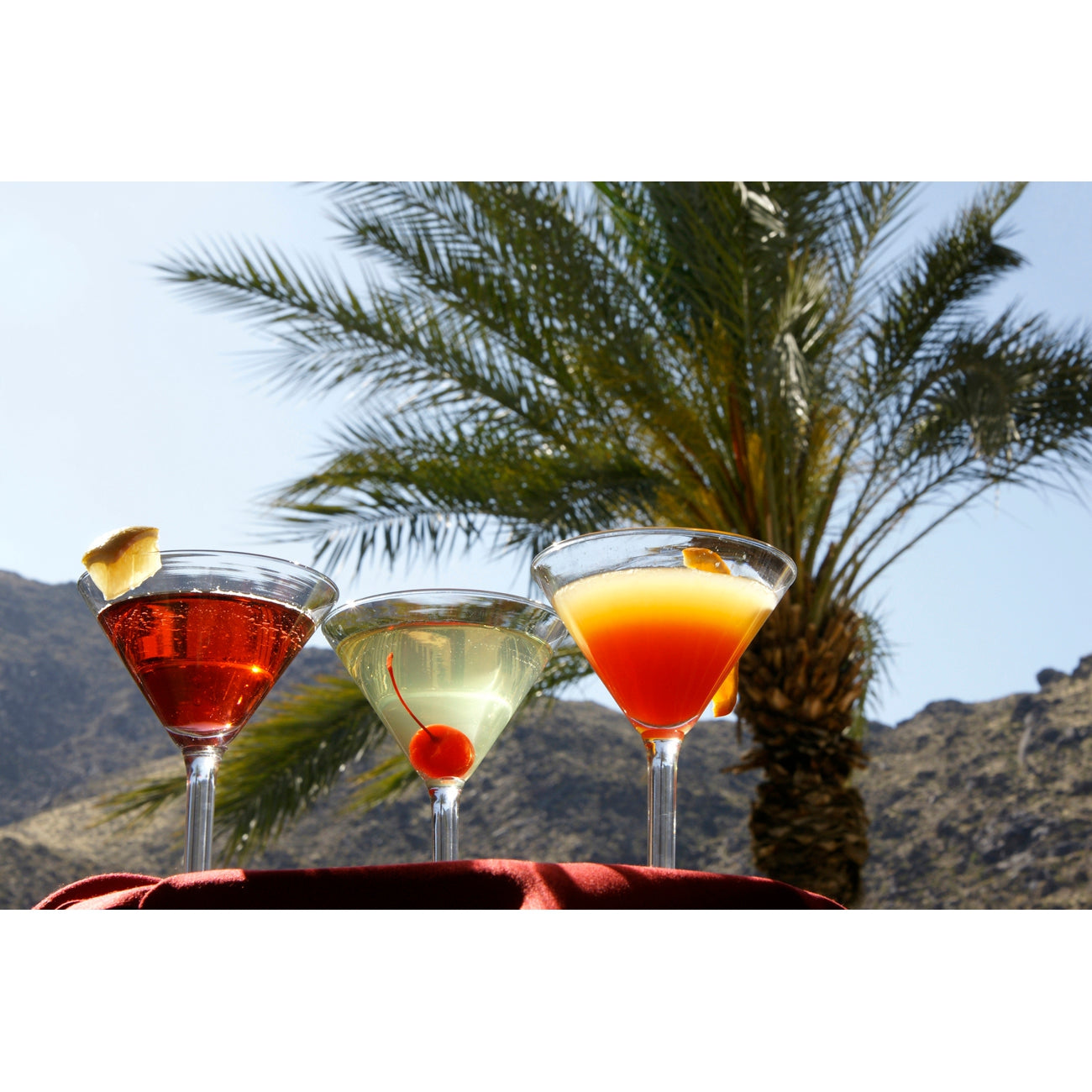 Martinis and Palm Trees Greeting Card