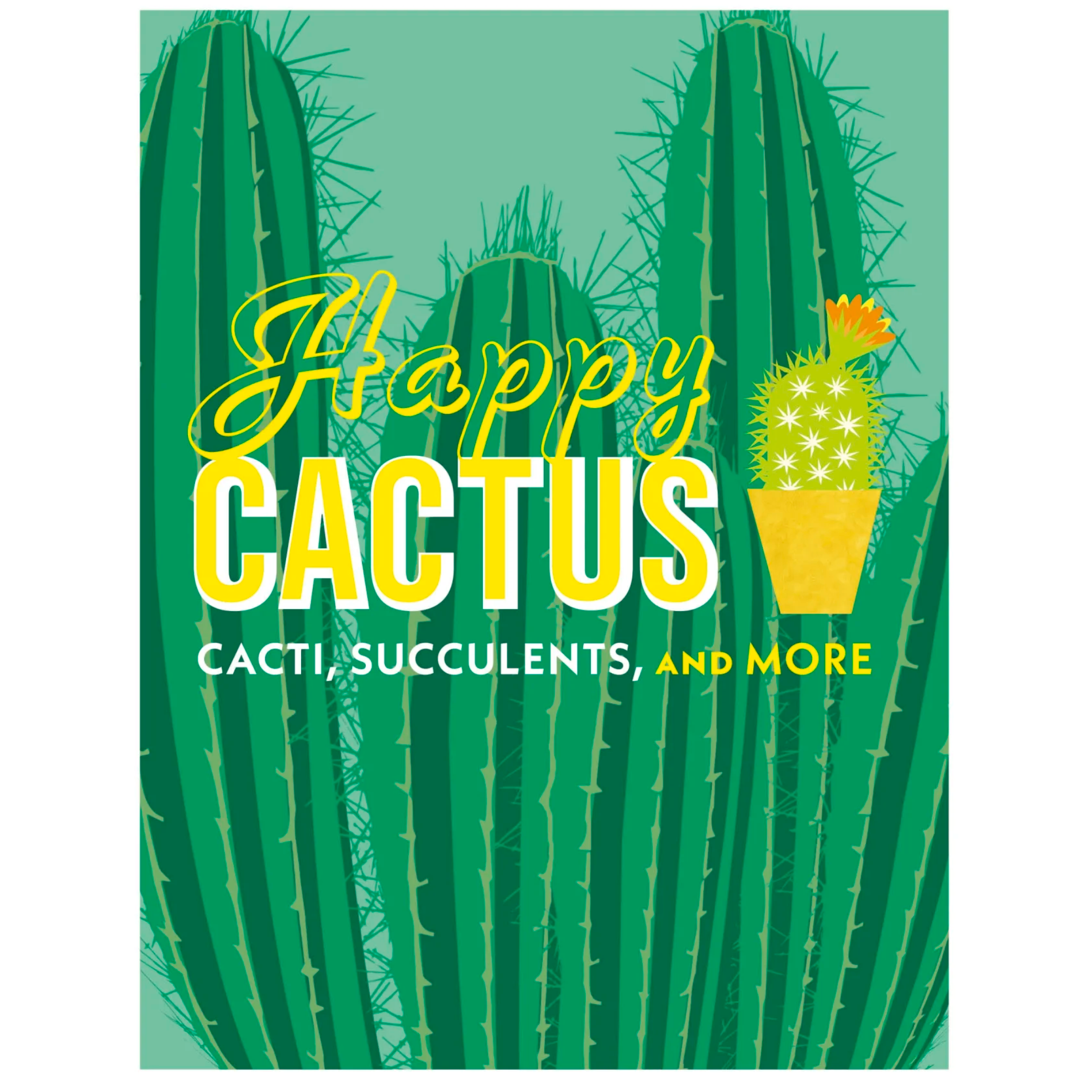 Happy Cactus: Cacti, Succulents, and More - Just Fabulous Palm Springs