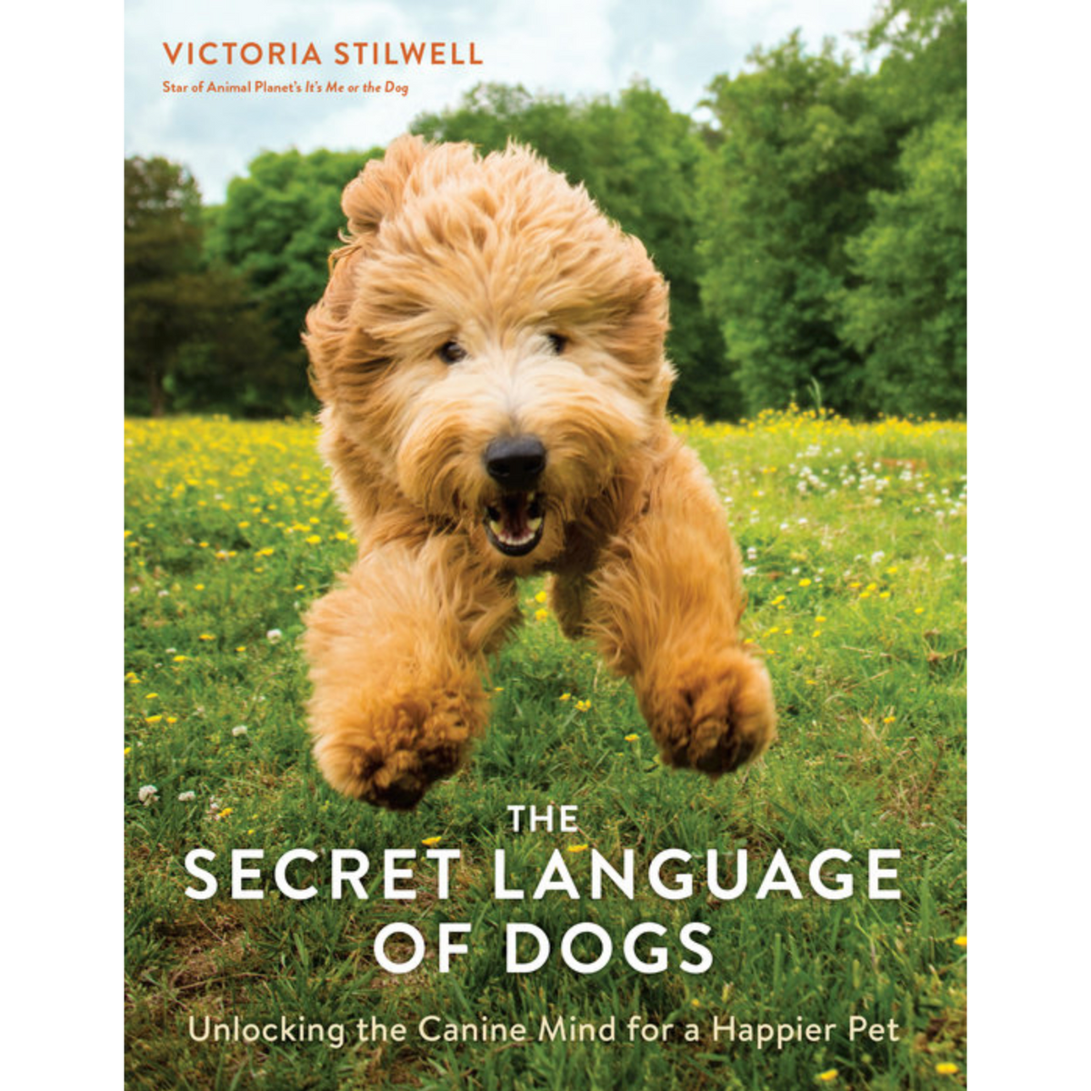 The Secret Language Of Dogs - Just Fabulous Palm Springs