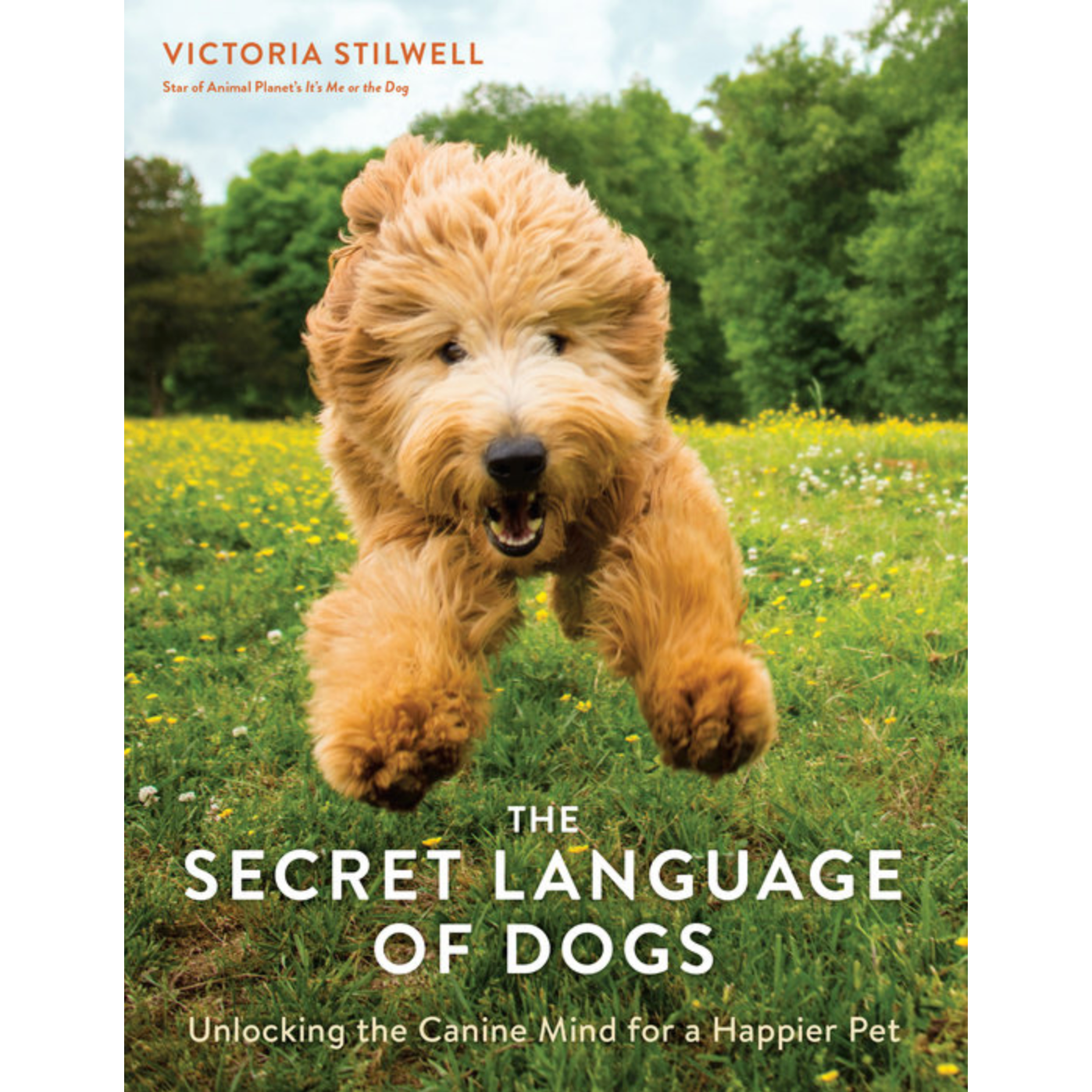 The Secret Language Of Dogs