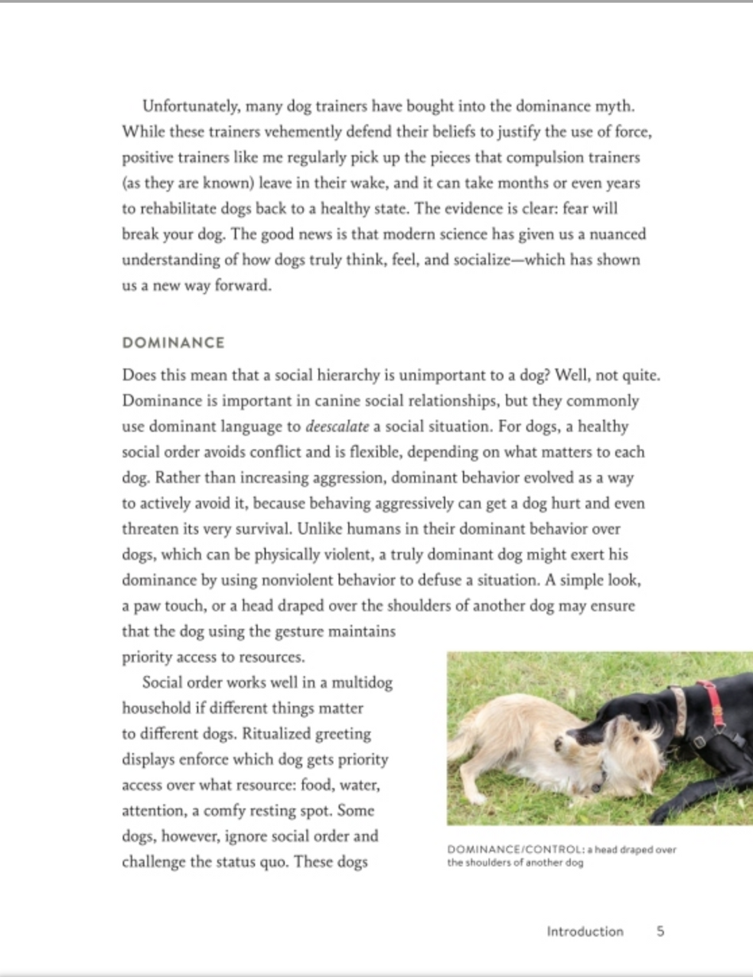 The Secret Language Of Dogs
