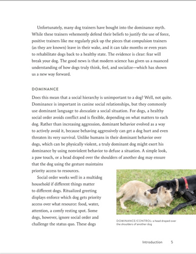 The Secret Language Of Dogs
