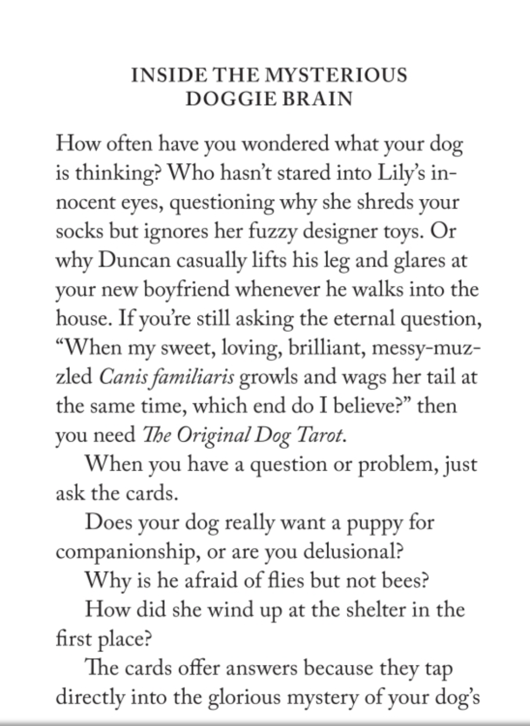 The Original Dog Tarot - Just Fabulous Palm Springs
