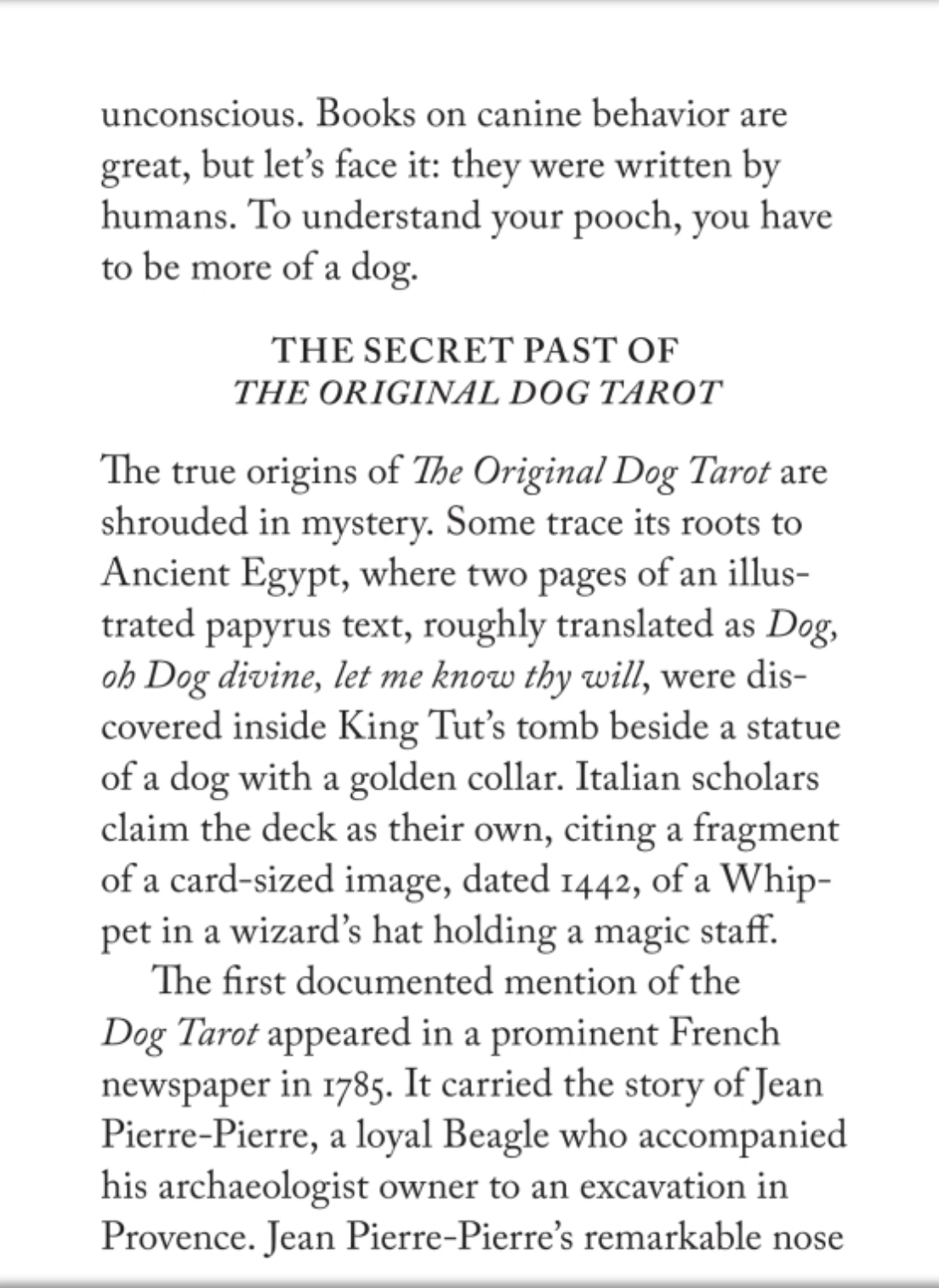 The Original Dog Tarot - Just Fabulous Palm Springs