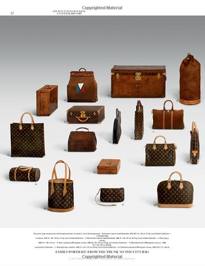 Louis Vuitton City Bags: A Natural History