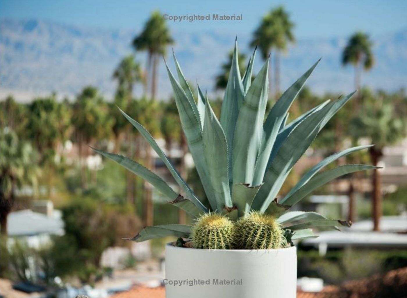 Palm Springs: A Modernist Paradise - Just Fabulous Palm Springs