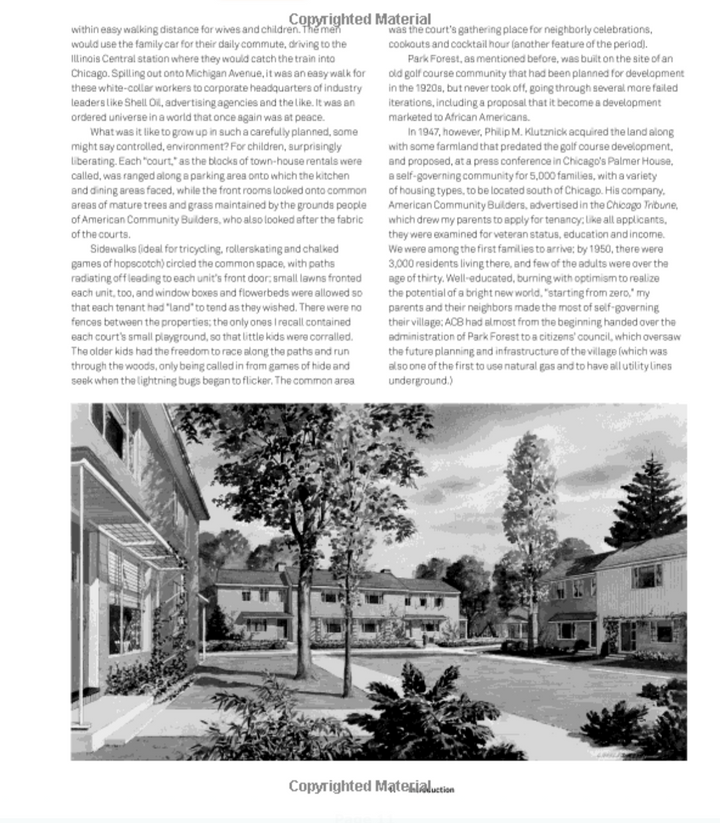 The MidCentury Modern Landscape - Just Fabulous Palm Springs