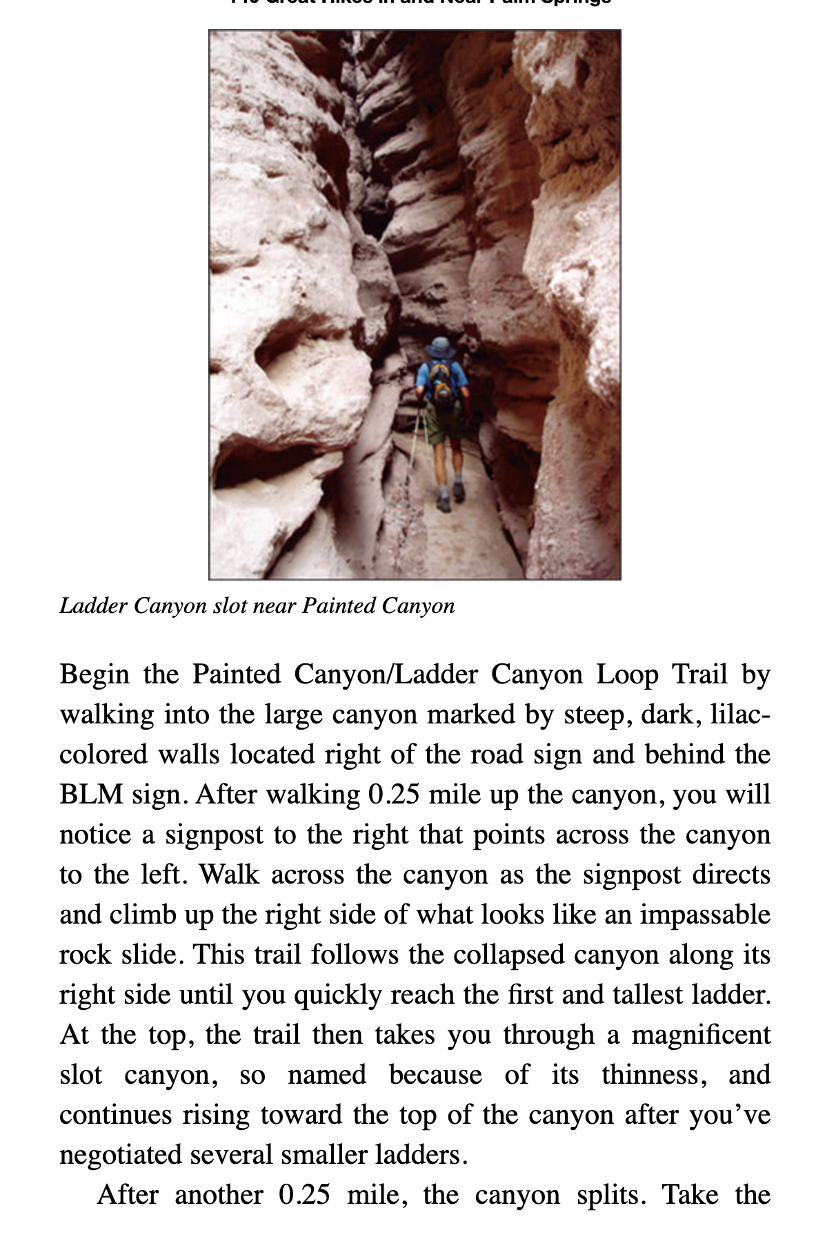 140 Great Hikes In And Near Palm Springs - Just Fabulous Palm Springs