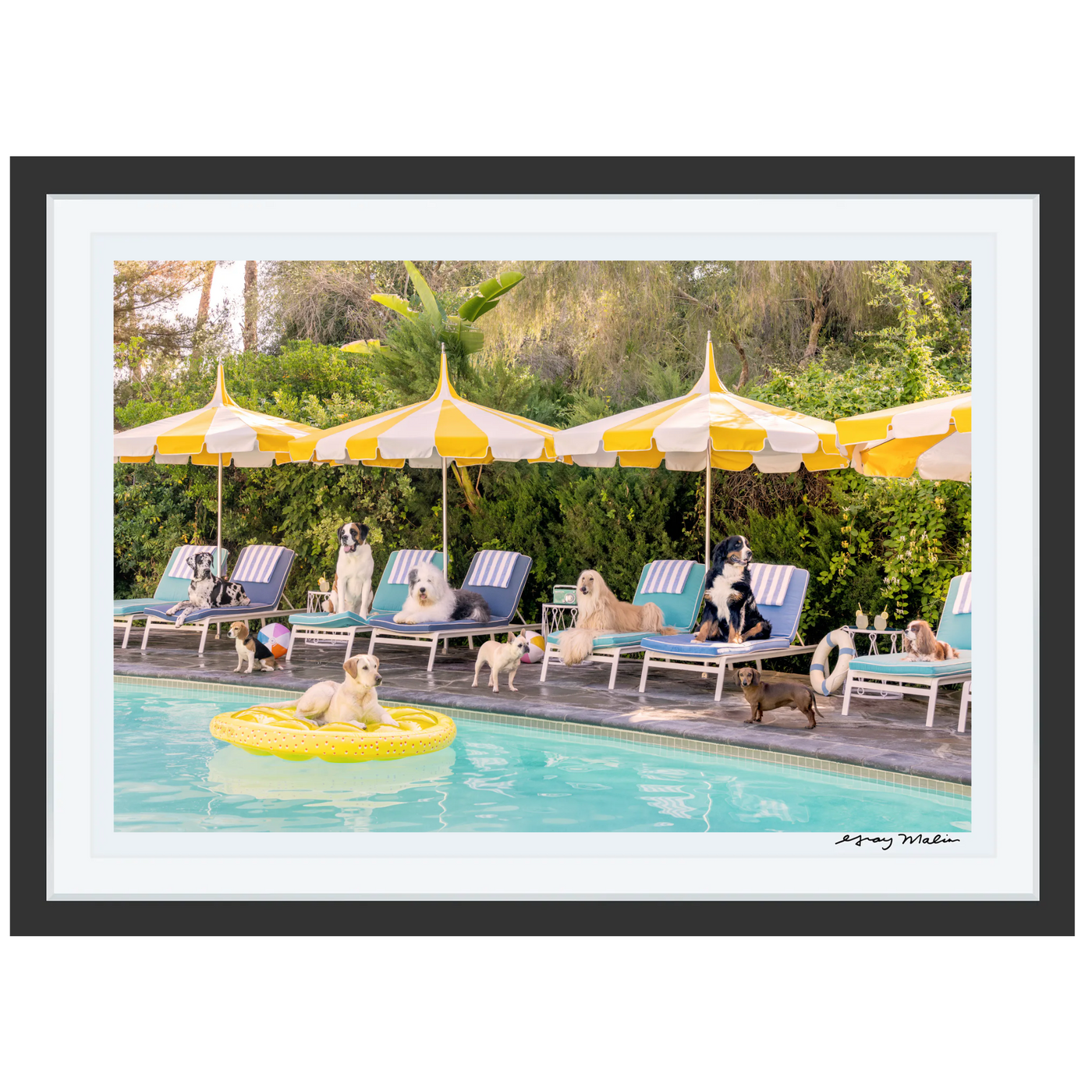 Gray Malin: Poolside Pups, Parker Palm Springs Signed Print Medium - 18" x 27" Framed (Black)