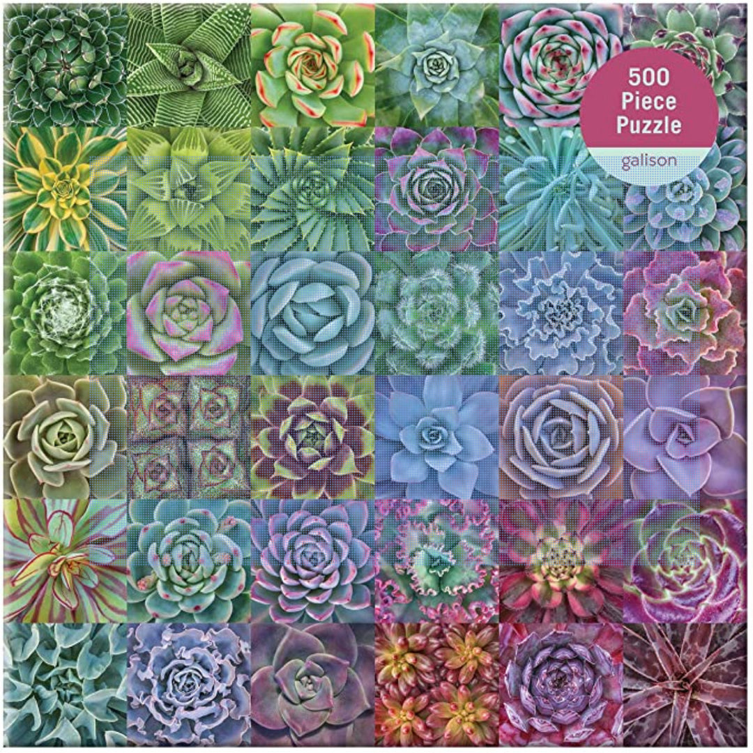 Succulent Spectrum Jigsaw Puzzle, 500 Pieces - Just Fabulous Palm Springs