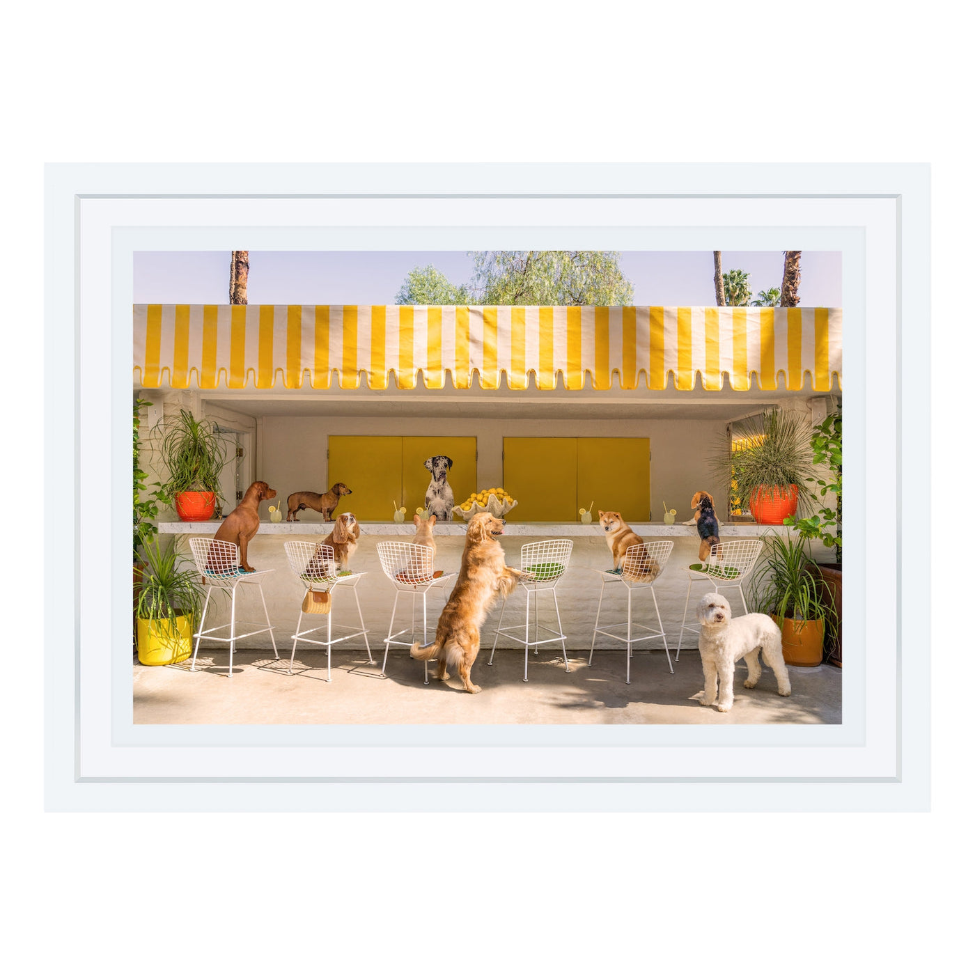 The Lemonade Stand, Parker Palm Springs Mini Print - 10" x 13.5" (Framed)