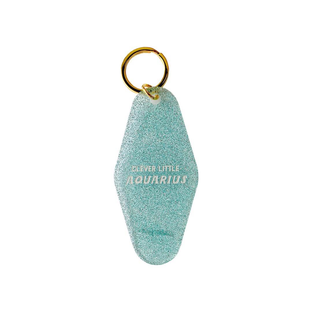 Clever Little Aquarius Zodiac Keychain