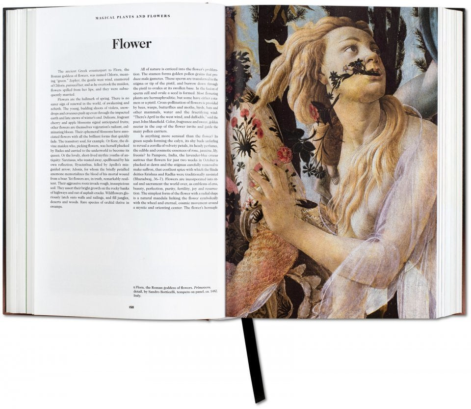 The Book Of Symbols: Reflections On Archetypal Images - Just Fabulous Palm Springs