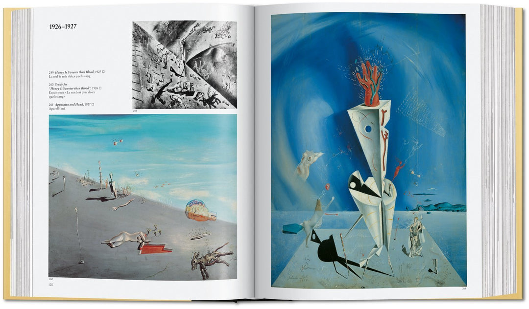 Dali - The Paintings