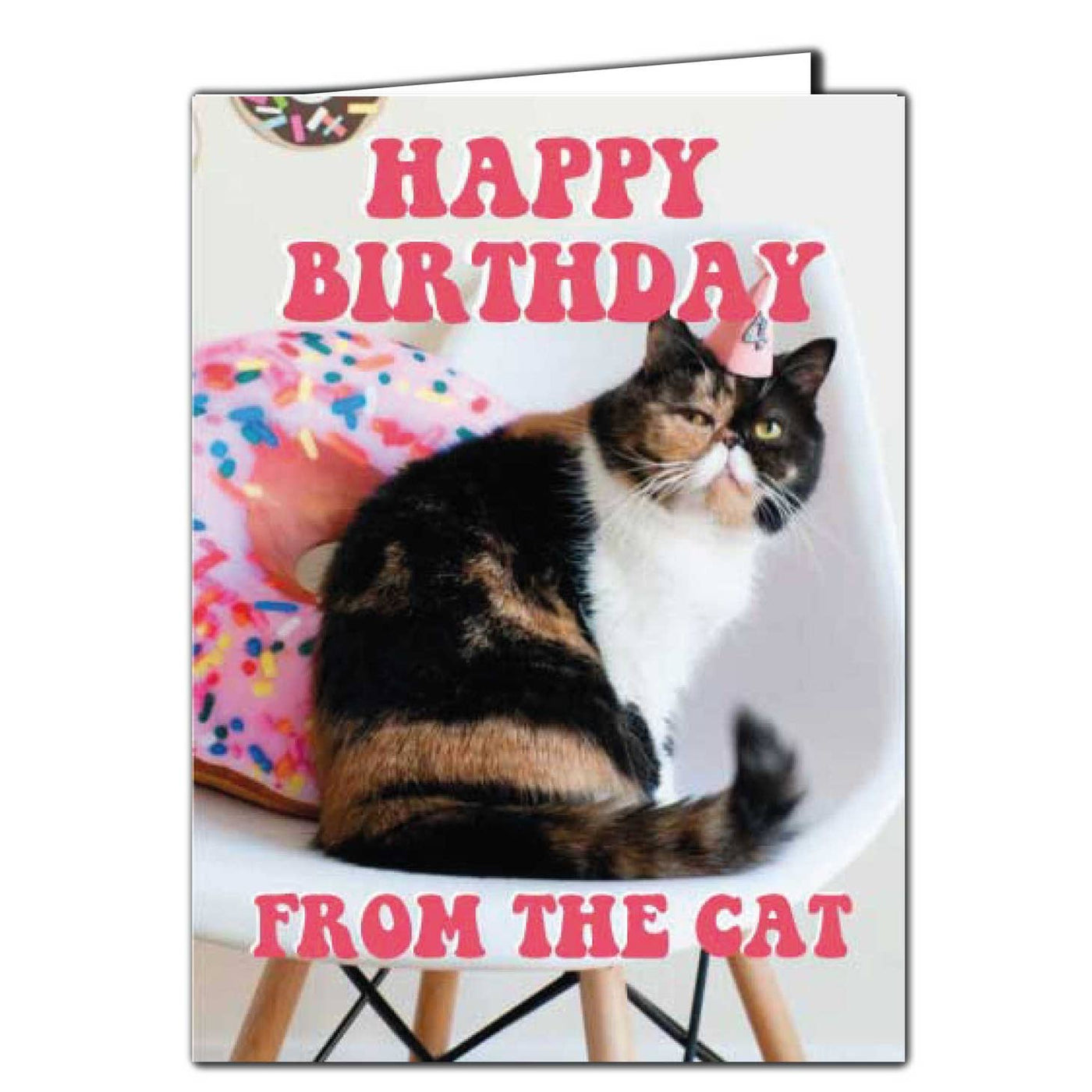 Happy Birthday From The Cat Birthday Card