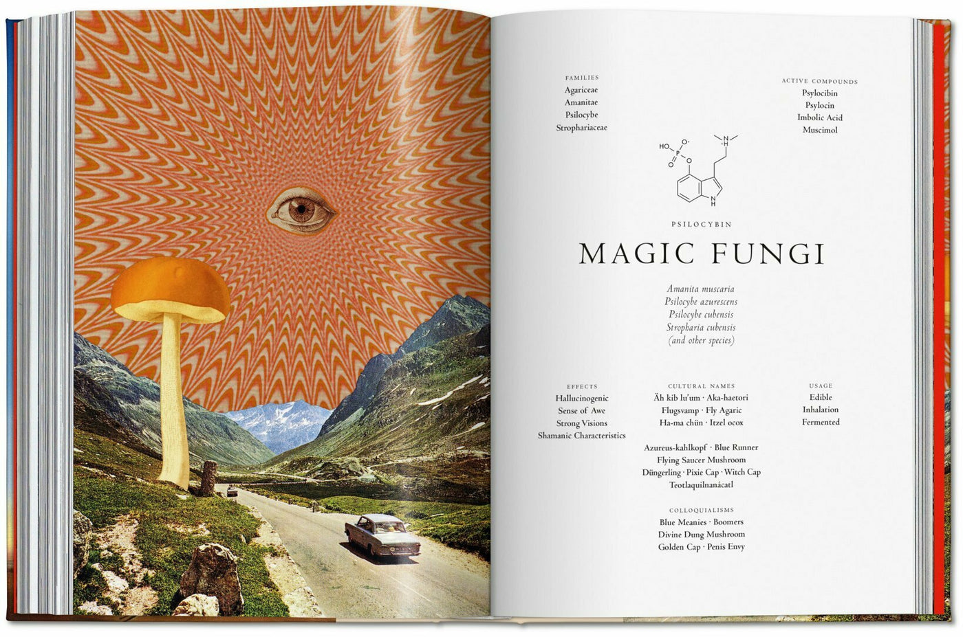 Plant Magick