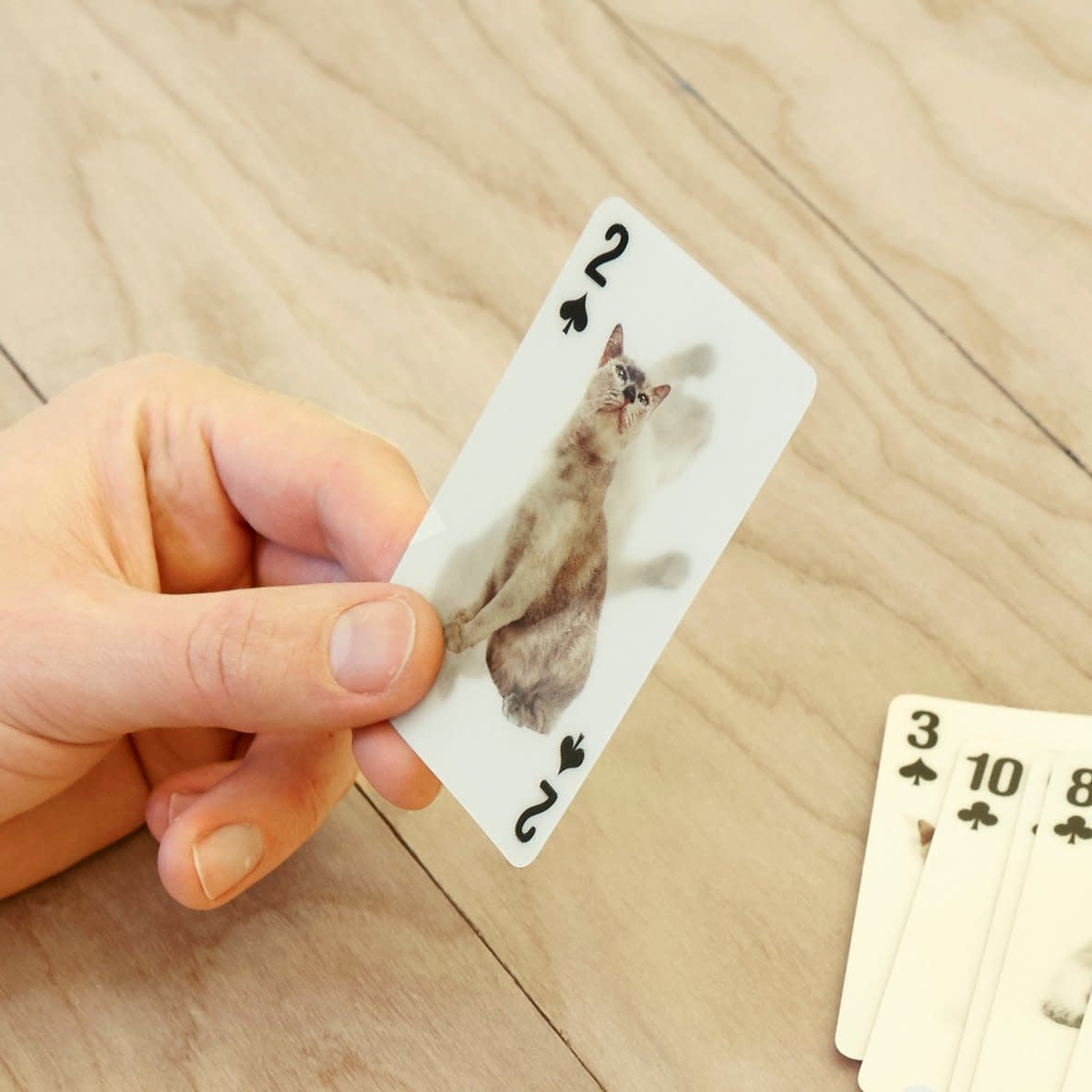 Cats 3D Playing Cards playing cards