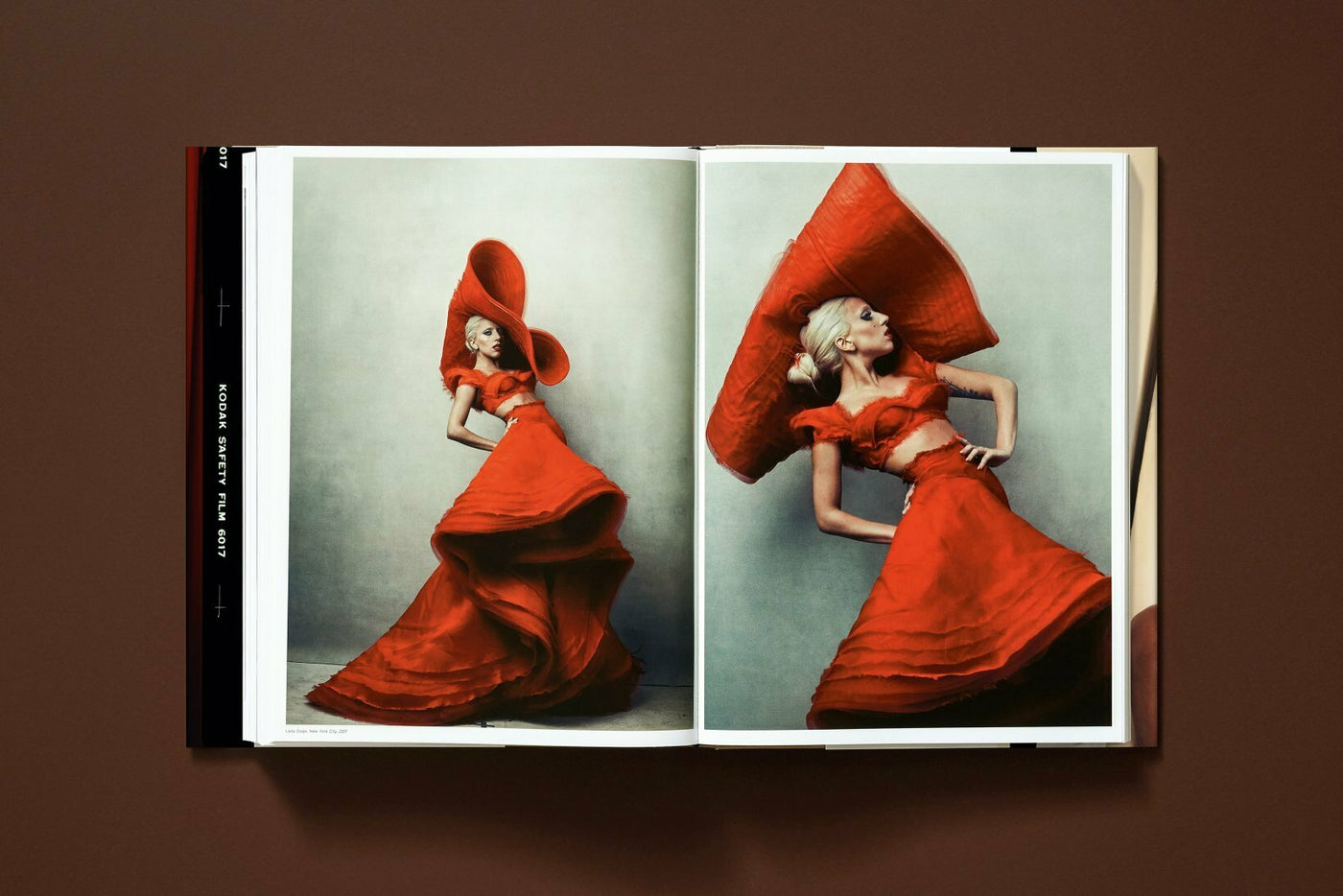 Annie Leibovitz  Portraiture and Identity