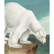 Polar Bear Blank Greeting Card