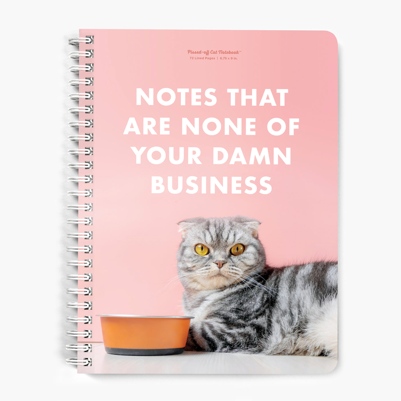 Damn Business Pissed-Off Cat Notebook