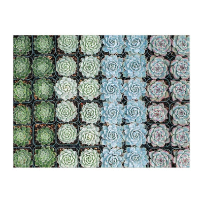 Succulent Garden Double-Sided Puzzle, 500 Pieces