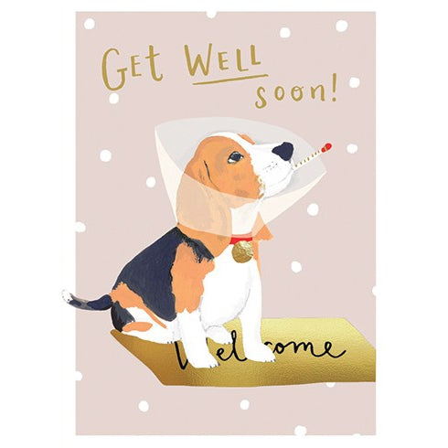 Dog In Cone Get Well Greeting Card