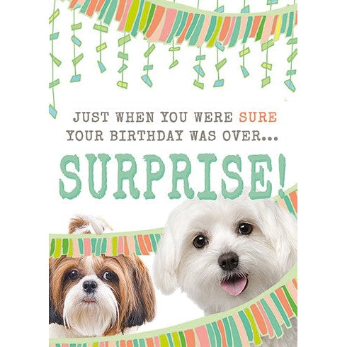 Surprise Birthday Card