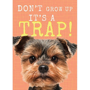 Don't Grow Up Birthday Card - Just Fabulous Palm Springs