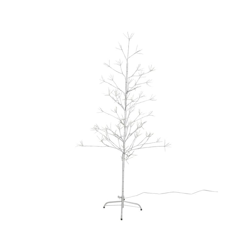 White Birch Twig Tree Pre-Lit w/ Warm White LED Lights - 5 Feet