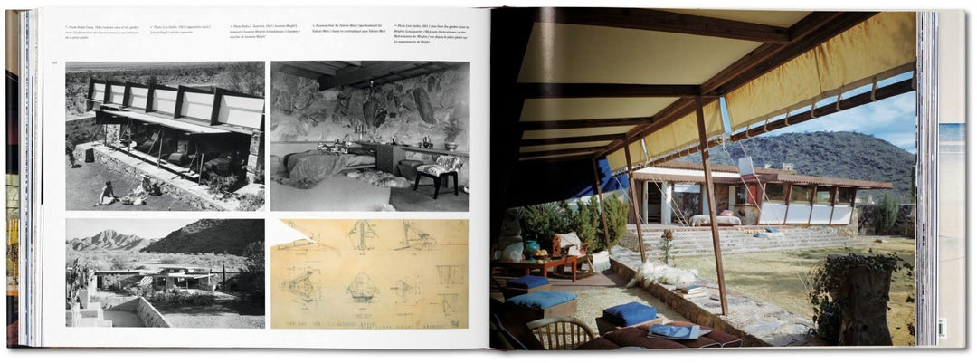 Frank Lloyd Wright book